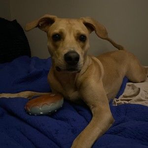 Meet your Posher, E.